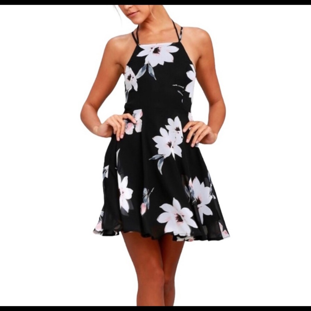 Lulus cute new with tag dress. Never wore